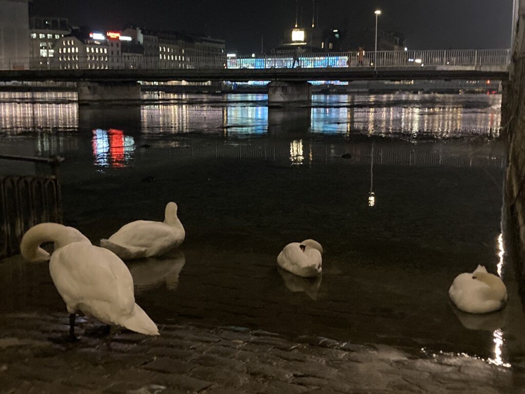 Genève la nuit